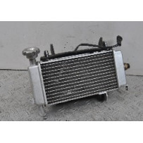 Radiatore + Elettroventola Keeway Motors RKF 125 Del 2020  1656411754163