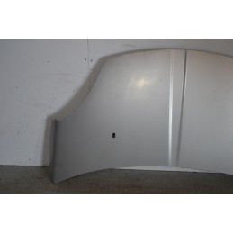 Cofano anteriore Dr 1 Dal 2009 al 2013 Cod 741010153  1658830640386