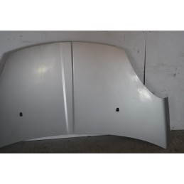 Cofano anteriore Dr 1 Dal 2009 al 2013 Cod 741010153  1658830640386