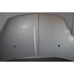 Cofano anteriore Dr 1 Dal 2009 al 2013 Cod 741010153  1658830640386