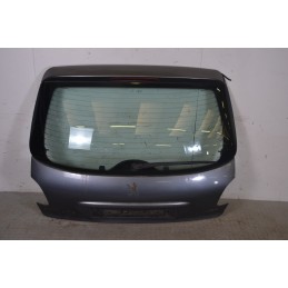 Portellone bagagliaio posteriore Peugeot 206 Plus Dal 2009 al 2012 Cod 8701R5  1658846217879