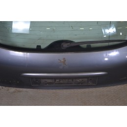Portellone bagagliaio posteriore Peugeot 206 Plus Dal 2009 al 2012 Cod 8701R5  1658846217879