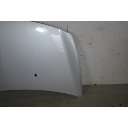 Cofano Anteriore Renault Clio III dal 2005 al 2013 Cod 7751479109  1664373720584