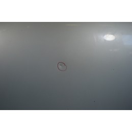 Cofano anteriore Ford Focus Dal 2001 al 2005 Cod 1430131  1664973203463