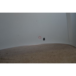 Cofano anteriore Ford Focus Dal 2001 al 2005 Cod 1430131  1664973203463