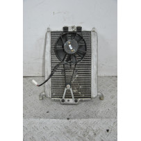 Radiatore + Elettroventola Piaggio Xevo 250 dal 2007 al 2013  1665651808222