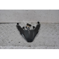 Carena Scudetto Anteriore Kawasaki J300 ABS Dal 2014 Al 2016  1667379037366