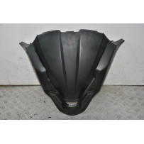 Carena cupolino Kawasaki J300 ABS Dal 2014 Al 2016  1667385744142
