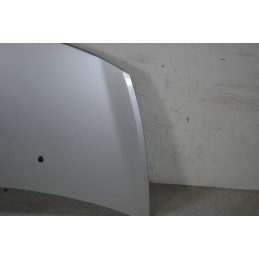 Cofano Anteriore Renault Clio III dal 2005 al 2013 Cod 7751479109  1667900005635