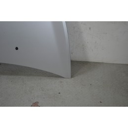 Cofano Anteriore Renault Clio III dal 2005 al 2013 Cod 7751479109  1667900005635