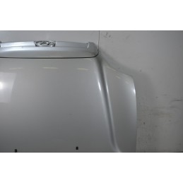 Cofano anteriore Hyundai Santa Fe Dal 2000 al 2006 Cod 6640026024  1668671411304