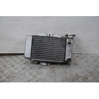 Radiatore Honda PS 150ie dal 2006 al 2012  1669287169580