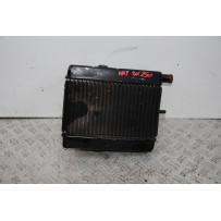 Radiatore + Elettroventola Yamaha Majesty 250 DX dal 1998 al 2002  1670321337742