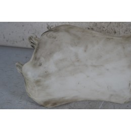 Vaschetta acqua tergicristalli Alfa Romeo 146 Dal 1995 al 1999 Cod 60588807  1671201625195