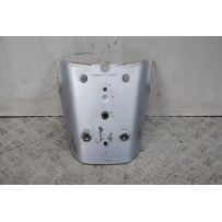 Carena Portatarga Piaggio Vespa GTS 250 Dal 2005 al 2012 COD : 622824  1672216887158