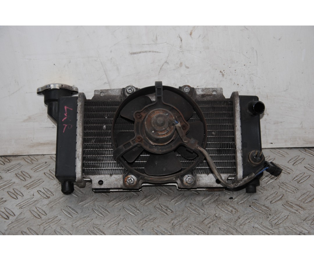 Radiatore + Elettroventola Peugeot LXR 200 dal 2009 al 2014  1672933935781
