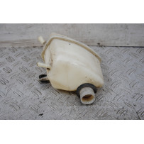 Vaschetta Acqua Piaggio Super Hexagon GTX 250 dal 1999 al 2001  1673425676120