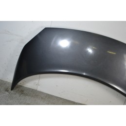 Cofano anteriore Renault Scenic II Dal 2003 al 2009 Cod 7751474289  1673953603377