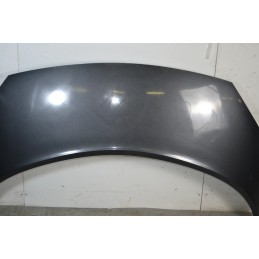 Cofano anteriore Renault Scenic II Dal 2003 al 2009 Cod 7751474289  1673953603377