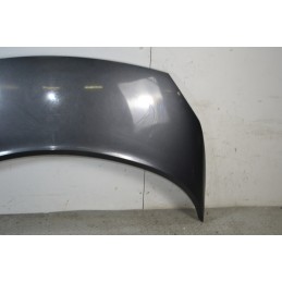 Cofano anteriore Renault Scenic II Dal 2003 al 2009 Cod 7751474289  1673953603377