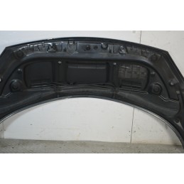 Cofano anteriore Renault Scenic II Dal 2003 al 2009 Cod 7751474289  1673953603377