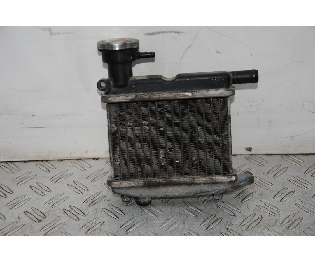 Radiatori Yamaha Giggle 50 Dal 2006 al 2012  1674050216293