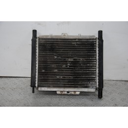 Radiatore + Elettroventola Peugeot Geopolis 125 / 250 dal 2005 al 2012  1675251326644