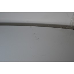 Portellone bagagliaio posteriore Citroen C4 Picasso Dal 2006 al 2013 Grigio argento  1675416496250