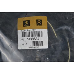 Cablaggio gancio traino Peugeot 807/ Citroen C8 Dal 2002 al 2014 Cod 9688AJ  1678200044811