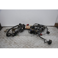 Cablaggio Impianto Elettrico Honda Sh 300 Dal 2006 al 2010  1678803512915