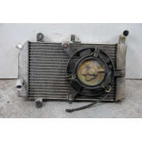 Radiatore + Elettroventola Honda Silver Wing 400 / 600 Dal 2001 al 2009  1679484100712