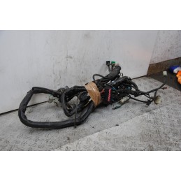 Cablaggio Impianto Elettrico Kymco Downtown 300 dal 2009 al 2014  1680259264706