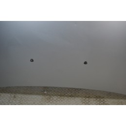 Cofano Anteriore Fiat Stilo dal 2001 al 2010 Cod 46754159  1681291209915