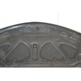 Cofano Anteriore Renault Clio III dal 2005 al 2013 Cod 7751479109  1681724374029