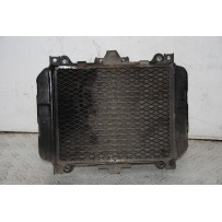 Radiatore + Elettroventola Kawasaki KLE 500 Dal 1991 al 2006  1681895599948
