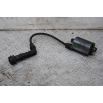 Coppia Bobina Accensione Kawasaki KLE 500 Dal 1991 al 2006  1681917618886