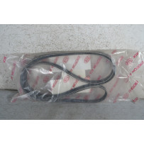 Cinghia Poly-V Kia - Mercedes - Vw Cod 25212G710  1683623309676