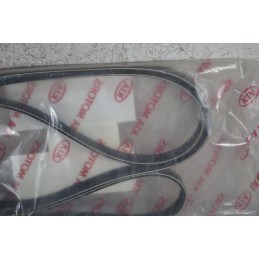 Cinghia Poly-V Kia - Mercedes - Vw Cod 25212G710  1683623309676