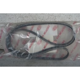 Cinghia Poly-V Kia - Mercedes - Vw Cod 25212G710  1683623309676