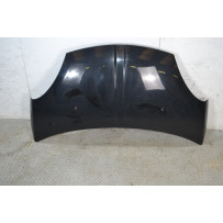 Cofano Anteriore DR 1 dal 2009 al 2013 Cod 741010153  1684402750733