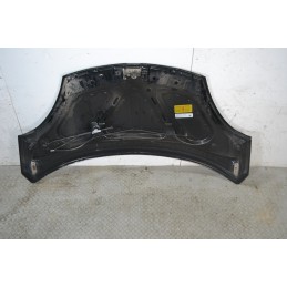 Cofano Anteriore DR 1 dal 2009 al 2013 Cod 741010153  1684402750733