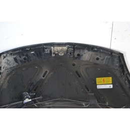 Cofano Anteriore DR 1 dal 2009 al 2013 Cod 741010153  1684402750733