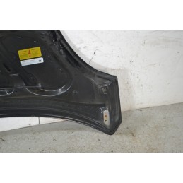 Cofano Anteriore DR 1 dal 2009 al 2013 Cod 741010153  1684402750733