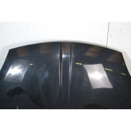 Cofano Anteriore DR 1 dal 2009 al 2013 Cod 741010153  1684402750733