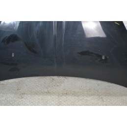 Cofano Anteriore DR 1 dal 2009 al 2013 Cod 741010153  1684402750733