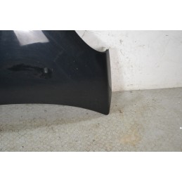 Cofano Anteriore DR 1 dal 2009 al 2013 Cod 741010153  1684402750733