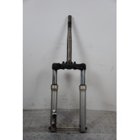 Forcella Sym Hd Evo 200 dal 2006 al 2010  1685094303399