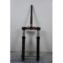 Forcella Honda Forza 250 Dal 2005 al 2007  1685371697807