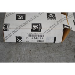 Kit Pastiglie Freno Peugeot 306 dal 1993 al 2002 Cod 425229  1686047508243