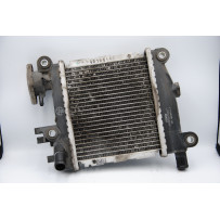 Radiatore Yamaha Tricity 125 dal 2014 al 2020  1686907299304